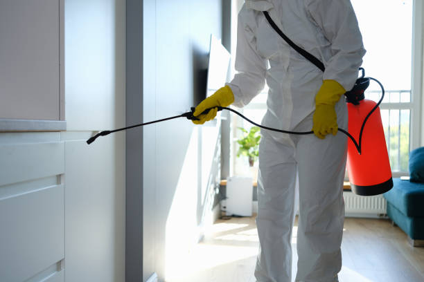 Best Emergency Mold Removal  in East St Louis, IL