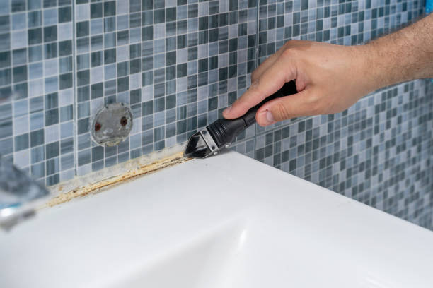 Best Fast Mold Removal  in East St Louis, IL