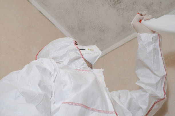Best Water Damage Restoration  in East St Louis, IL